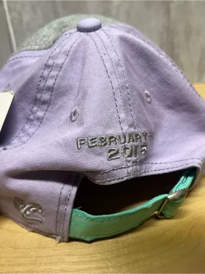 NASCAR Daytona 500 February 2015 The Chase Lavender Baseball Cap New Adj. thumbnail 5