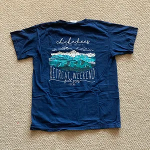 Comfort Colors Mountain Range Abstract Blue Teal Chickadees T-Shirt Medium EUC thumbnail 1