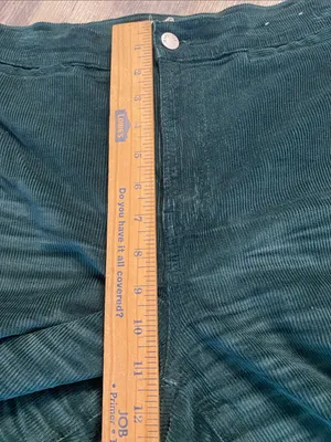Madewell Emmett Wide Leg Corduroy Pants Welt Pocket Luxury Forest Stretch 29 thumbnail 4