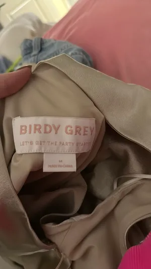Birdy Grey Champagne Dress Bridesmaid thumbnail 3