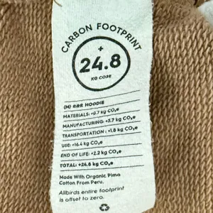 Allbirds Tan Beige Hoodie Organic Cotton Hemp Tencel Sweatshirt Unisex Size L thumbnail 12