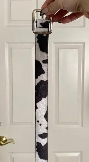belt Multiple thumbnail 2