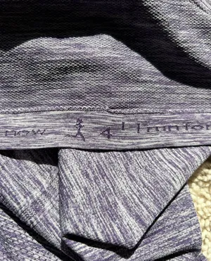 Lululemon Swiftly Tech Long Sleeve Purple thumbnail 4