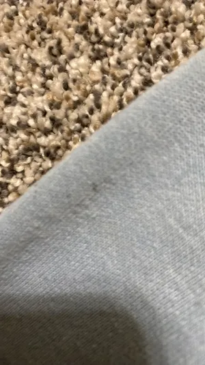 Carhartt Sweatshirt thumbnail 6