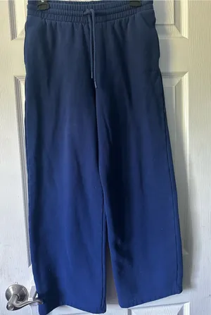 Aritzia Deep Navy Fleece Joggers thumbnail 1