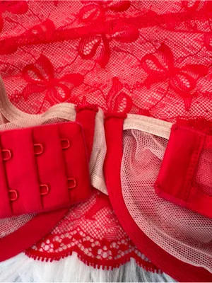 Victoria’s Secret Very Sexy Bow Lace High Neck Unlined Halter Bra – Red/Nude thumbnail 9