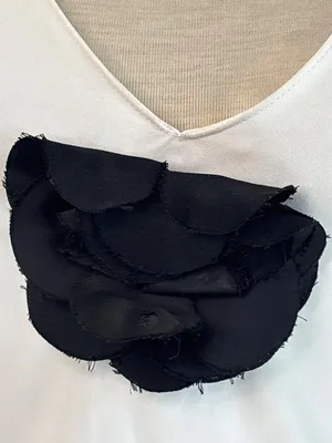 Amanda Uprichard Entela Dress in Ivory & Black Rose XSmall Womens Mini thumbnail 5