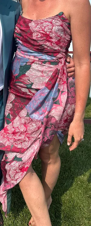 Hutch Juliette Dress thumbnail 2