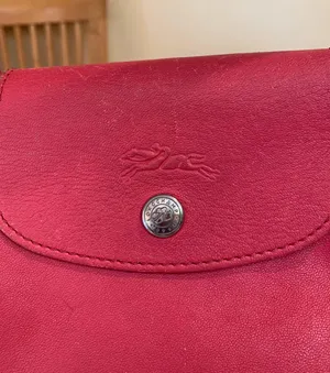 Le Pliage Cuir leather bag thumbnail 3