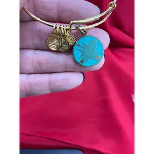Alex and Ani Bangle Bracelet Lot 6pc‎ Nautical Lobster Fish Anchor Gold Silver thumbnail 9