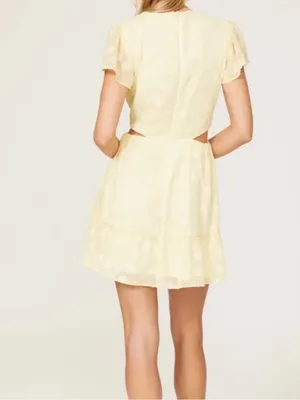 Show Me Your Mumu Merritt Mini Dress thumbnail 3