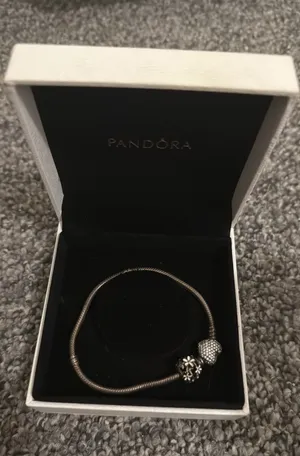 Pandora Charm Bracelet thumbnail 1