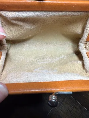 Vintage Dooney & Bourke Coin Purse Kiss Lock AWL Leather Duck Logo Taupe thumbnail 8