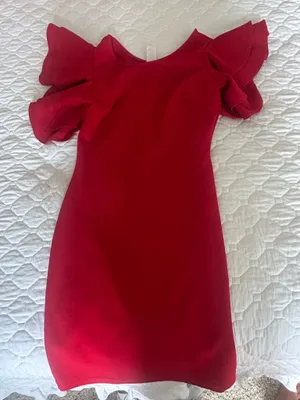 Windsor Dress thumbnail 2