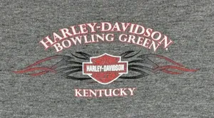Harley Davidson Top - Size L - GUC thumbnail 4