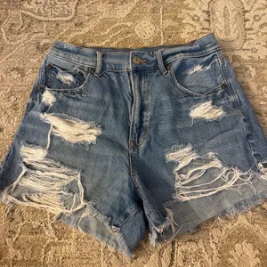 American Eagle Shorts thumbnail 1