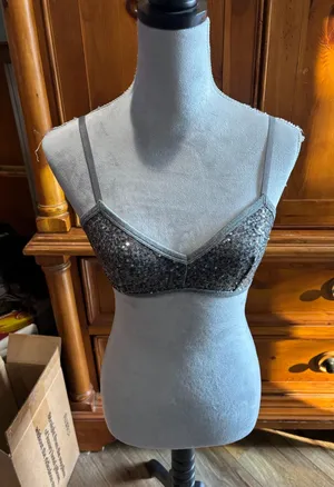 Aerie Sparkling Sequin Gray Bralette, Sz S thumbnail 1