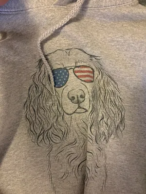 Hanes Sweatshirt thumbnail 3