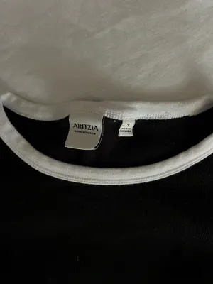 Aritzia basic homestretch tee thumbnail 2