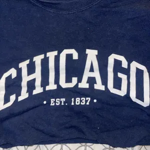 Chicago crop top thumbnail 2