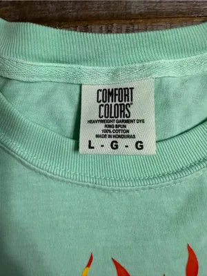 Comfort Colors Mint Green Short Sleeve Tee with Flaming Leopard Graphic thumbnail 2