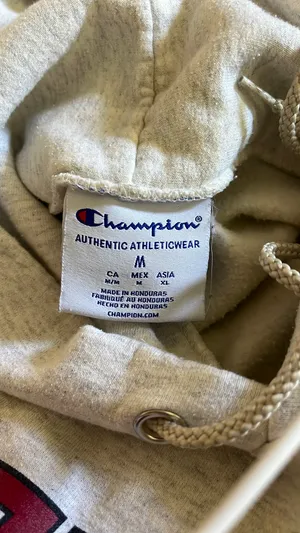 Temple University Champion Hoodie thumbnail 2