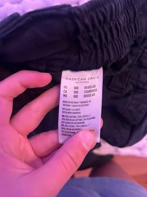 American Eagle Outfitters Cargo Pants thumbnail 3