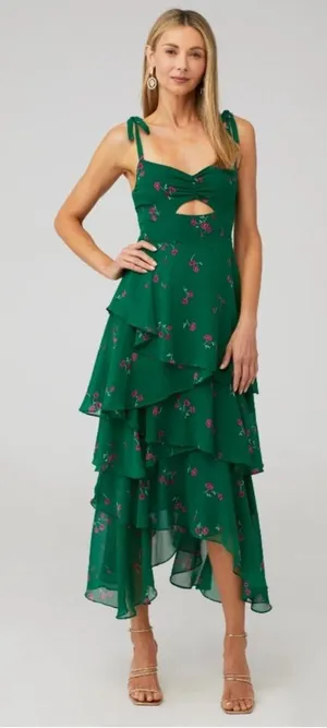Revolve Flynn Skye Leona Midi Green‎ Floral Dress XS thumbnail 1