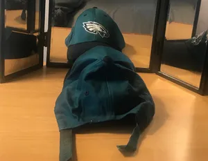 Philadelphia Eagles Baseball Cap thumbnail 5