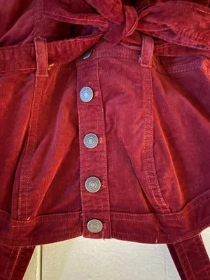 Abercrombie Maroon Corduroy Dress thumbnail 2