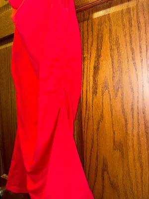 💜Princess Polly Red Cowl Neck Mini Dress thumbnail 2