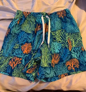 Chubbies swim shorts men’s size small never worn!! thumbnail 1