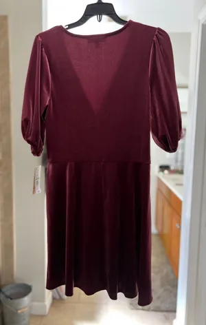 Bebop Wine Colored Velvet Dress thumbnail 5