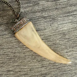 Vintage Fang Tooth Necklace Discoloration thumbnail 1