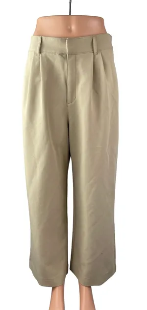 Abercrombie & Fitch Women's Beige Pleated High Rise Wide Leg Trousers Pants M thumbnail 1