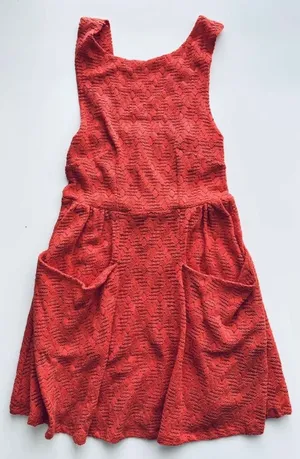 Persimmon Lace sleeveless Poppy Cutout Mini Dress open back fall XS thumbnail 1