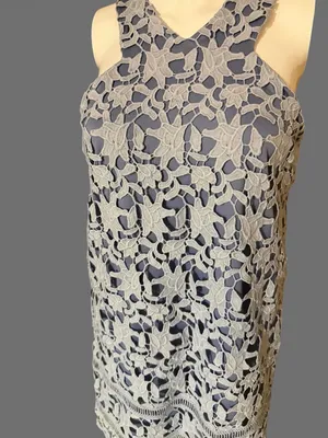 GBX Light Blue Floral Lace Sleeveless Mini Dress thumbnail 2