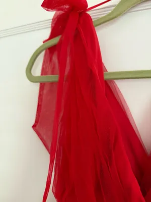 Red Tulle Mini Dress Boutique Dress thumbnail 2