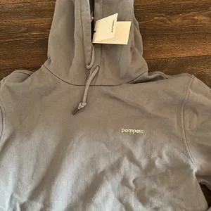 Pompell Hoodie Gray Size M thumbnail 2