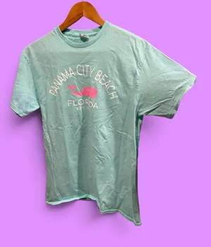 Delta Cute Y2K Panama City pastel whale spring break Florida vacation graphic t-shirt thumbnail 1