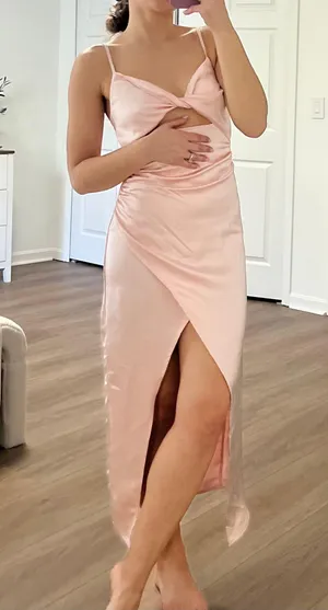 Petal and Pup Long Dress thumbnail 5