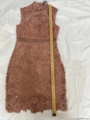 Bardot Paris Lace High Neck Dress Pink Size 4 NWT Cocktail Wedding Guess thumbnail 11