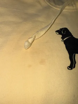 The Black Dog Pale Yellow Pullover Hoodie with Black Dog Logo thumbnail 3