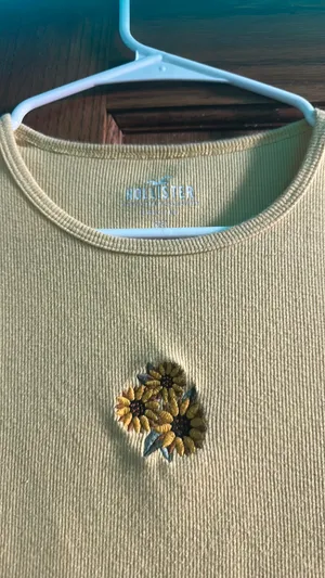 Hollister Baby Tee thumbnail 2