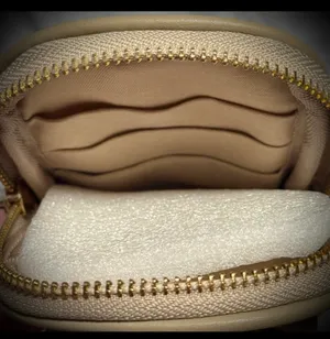 Badgley Mischka Beige Crossbody Quilted Phone Bag. BNWT thumbnail 5