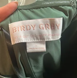 Birdy Grey Dress thumbnail 8