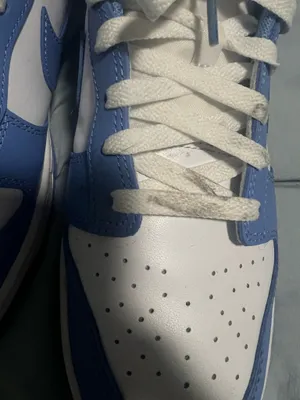 Polar Blue Nike Dunk Low  thumbnail 5