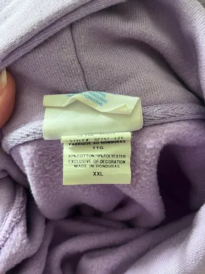 Champion Reverse Weave Hoodie thumbnail 4