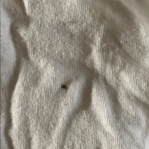 Cotton tank thumbnail 2