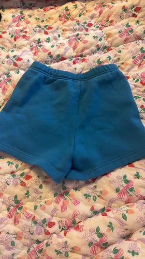 Aritzia Shorts TNA thumbnail 2